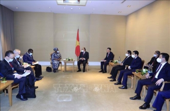 Chủ tịch nước tiếp Tổng Giám đốc Tổ chức Thương mại Thế giới