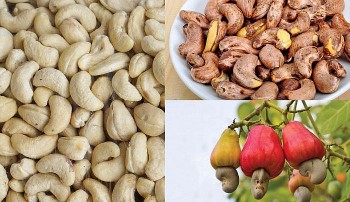 Xuất khẩu hạt điều sang Đức có nhiều tiềm năng gia tăng trong năm 2022
