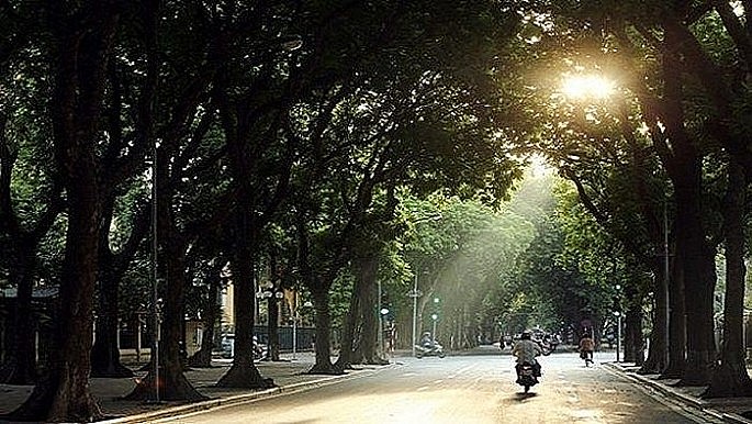 Ảnh minh họa.