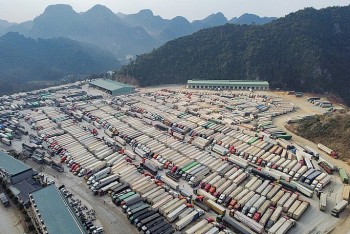 Những điểm nhấn kinh tế Việt Nam sau một năm COVID-19