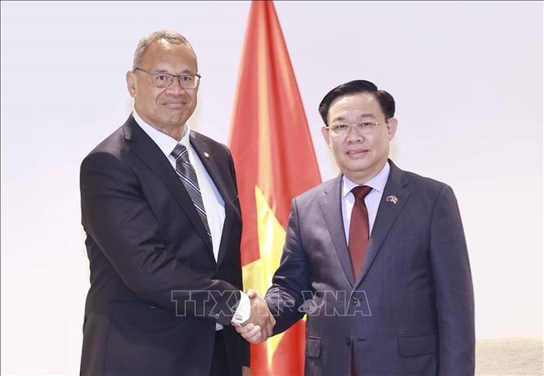 Hợp tác thương mại-đầu tư giữa Việt Nam và New Zealand là trụ cột quan trọng ảnh 1