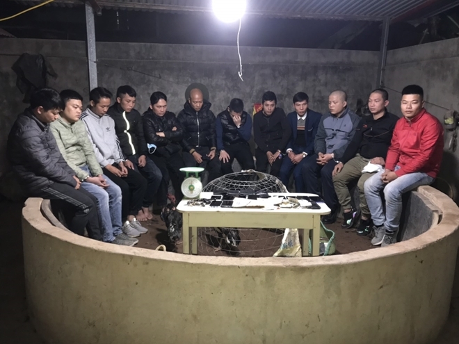 Tin tức pháp luật chiều 17/1: Ba cha con ở Phú Thọ tử vong bất thường tại nhà riêng
