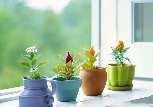 Top quà tặng ngày 8/3 cho sếp nữ vừa lịch sự và sang trọng