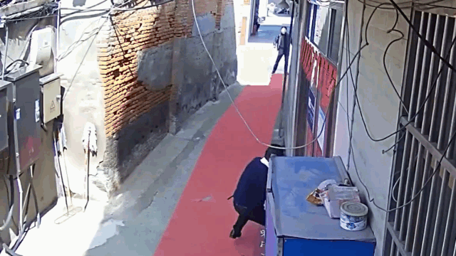 Video: Tháo chạy khỏi lò mổ, trâu 'điên' húc tung 2 người trước khi biến mất