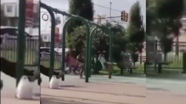 Video: "Tròn mắt" với màn nhào lộn xích đu hút triệu view của cụ ông