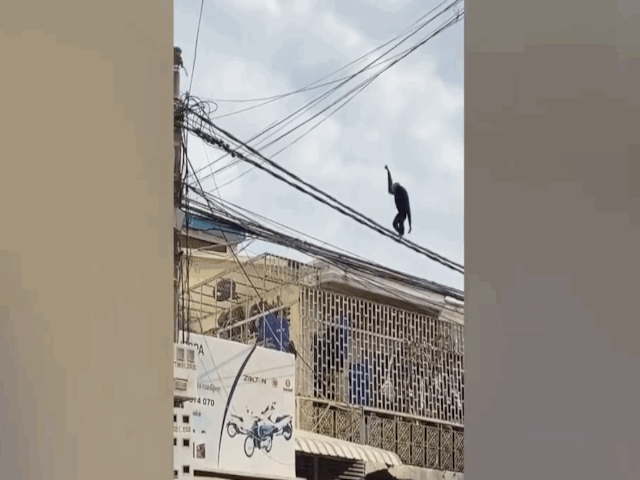 video vuon tro tai di thang bang tren day dien