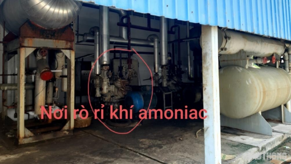1336 z1993154390223 1e96d96c9289e29c78ccc59ccc2c7490 1595747337 width1004height565