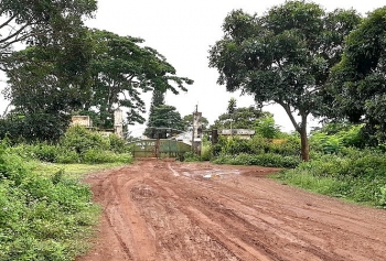 Tin tức thời sự trong ngày: Sau tiếng nổ lớn, nam thanh niên bị hất văng cả chục mét, tử vong tại chỗ