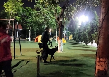 Tin tức pháp luật nóng nhất trong ngày:  Bắc Ninh sử dụng chó nghiệp vụ tìm kiếm cháu bé 2 tuổi mất tích