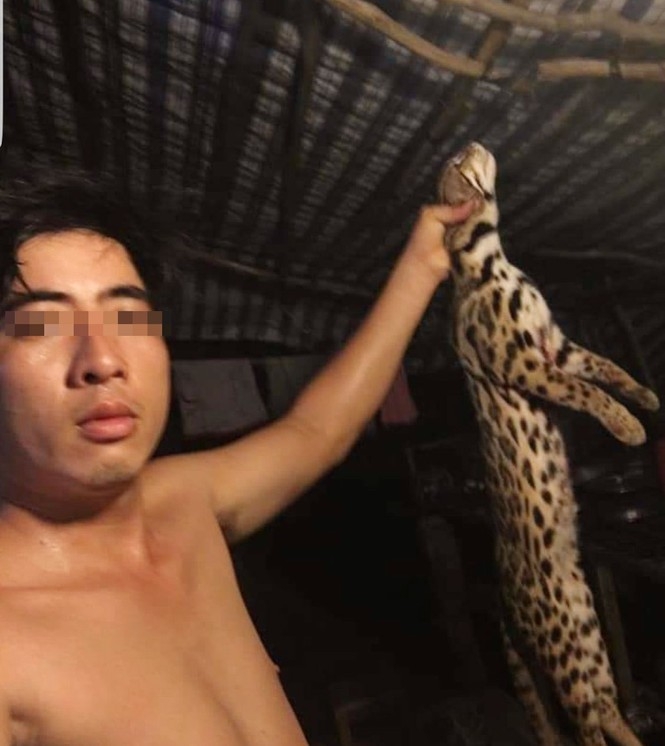 2728 vu dan quan xa giet nhieu meo rung quy hiem cong an huyen cai be len tieng 1