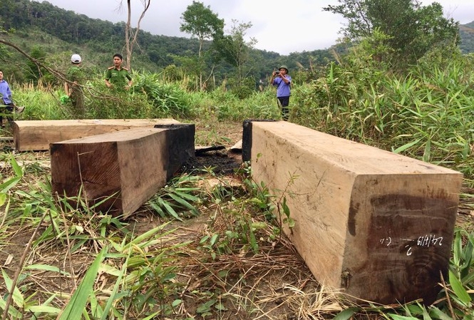 tin tuc thoi su 24h nong nhat sang 79 chinh thuc khoi phuc hoat dong cua may bay tau lua o to di den da nang