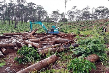 Tin tức thời sự 24h sáng 8/9: Kỷ luật, thuyên chuyển toàn bộ lãnh đạo một hạt kiểm lâm