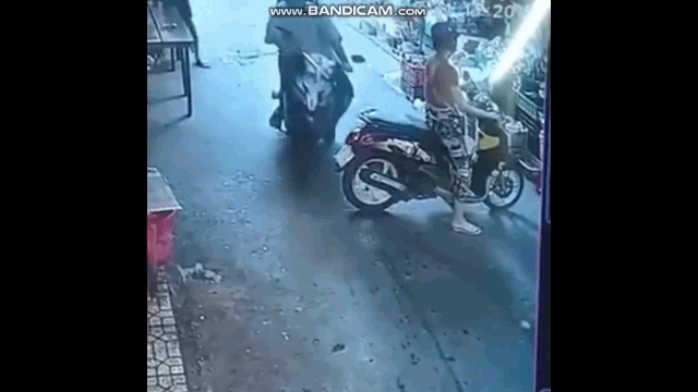 Camera giao thông: Dừng xe ngang ngược giữa đường để mua rau, cô gái nhận cái kết ê chề