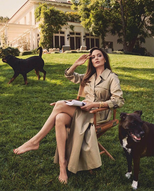 Khoảnh khắc kinh diễm của Angelina Jolie khiến vạn người điên đảo