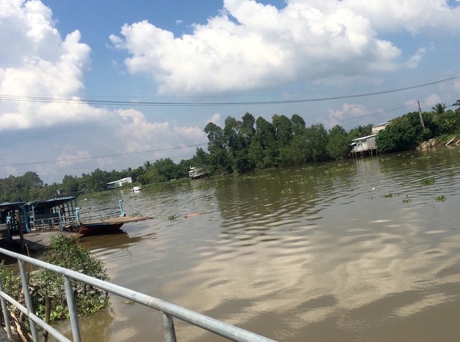 Thông tin pháp luật chiều 24/11: Phát hiện 55 trường hợp làm bằng giả tại Đại học Đông Đô để làm luận án tiến sĩ