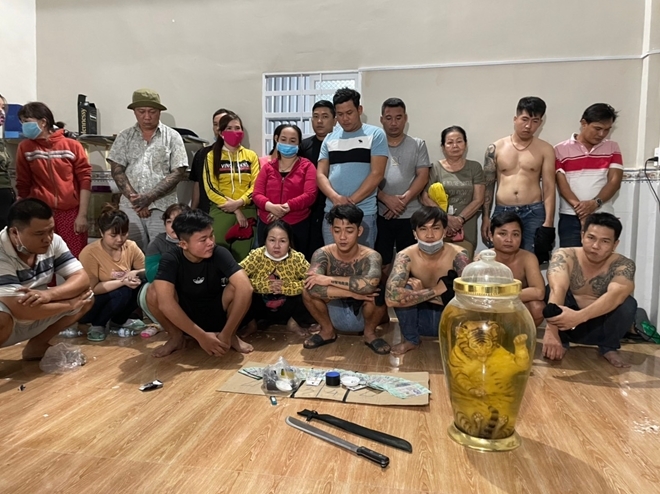 Thông tin pháp luật sáng 8/12: Tạm giữ hình sự 5 đối tượng phá rừng ở Quảng Bình