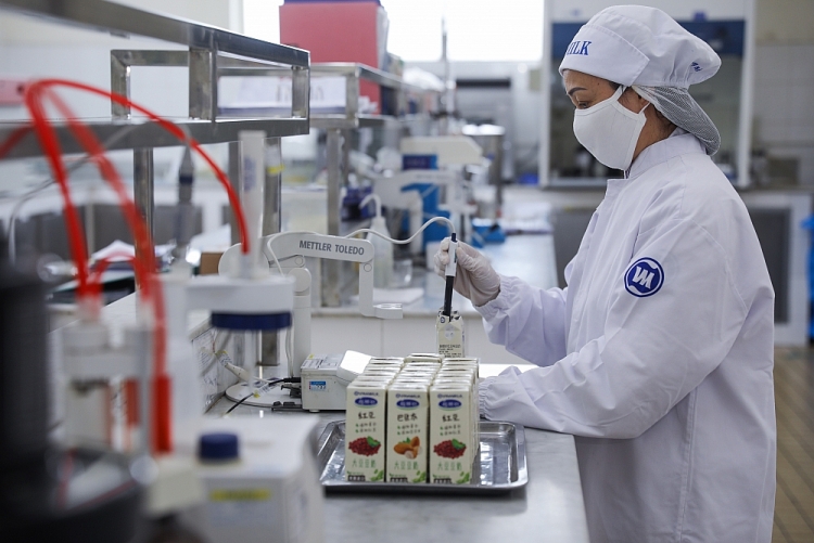 Vinamilk chào 2021 với lô sản phẩm sữa hạt và sữa đặc lớn xuất khẩu đi Trung Quốc