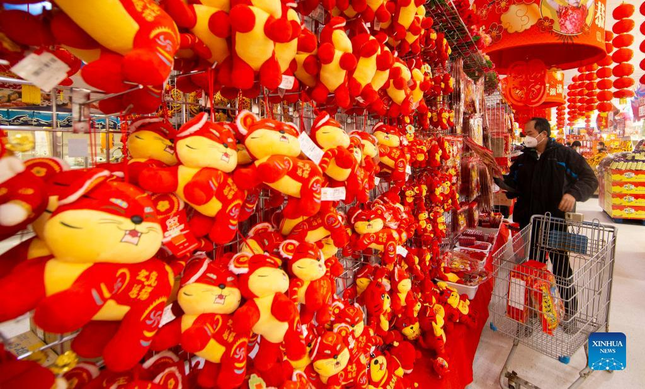 Ch&acirc;u &Aacute; trang ho&agrave;ng rực rỡ, người d&acirc;n n&ocirc; nức mua sắm chuẩn bị đ&oacute;n năm Dần ảnh 29