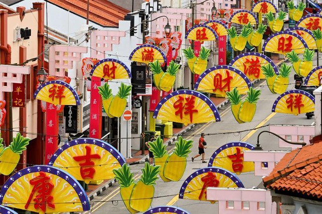Ch&acirc;u &Aacute; trang ho&agrave;ng rực rỡ, người d&acirc;n n&ocirc; nức mua sắm chuẩn bị đ&oacute;n năm Dần ảnh 1