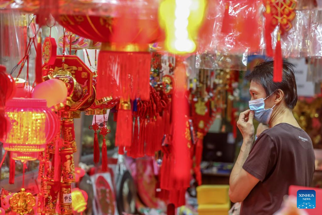 Ch&acirc;u &Aacute; trang ho&agrave;ng rực rỡ, người d&acirc;n n&ocirc; nức mua sắm chuẩn bị đ&oacute;n năm Dần ảnh 16