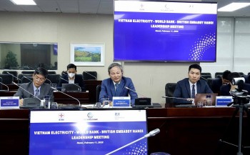 TGĐ EVN Trần Đình Nhân làm việc với Giám đốc WB tại Việt Nam