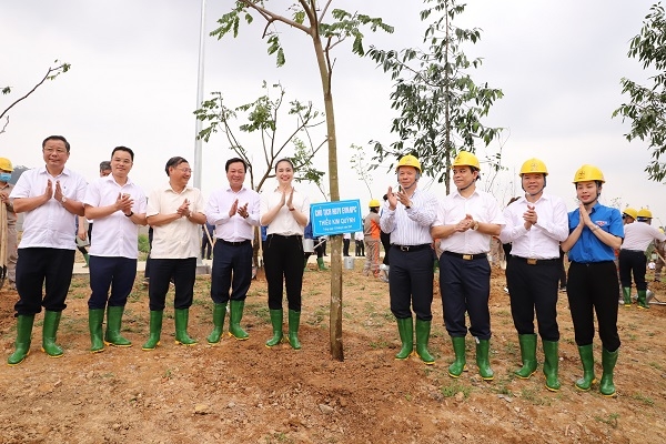 TCT Điện lực miền Bắc tiếp nối phong trào vì một Việt Nam xanh tại Khu di tích lịch sử Đền Hùng, Phú Thọ