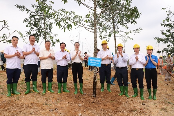 TCT Điện lực miền Bắc tiếp nối phong trào vì một Việt Nam xanh tại Khu di tích lịch sử Đền Hùng, Phú Thọ