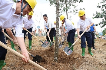 TCT Điện lực miền Bắc tiếp nối phong trào vì một Việt Nam xanh tại Khu di tích lịch sử Đền Hùng, Phú Thọ