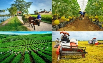 Tổng kết 20 năm thực hiện Nghị quyết số 13-NQ/TW đổi mới, phát triển kinh tế tập thể