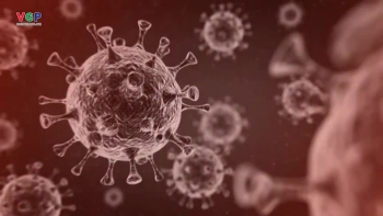 6 loại vaccine phòng COVID-19 được cấp phép tại Việt Nam