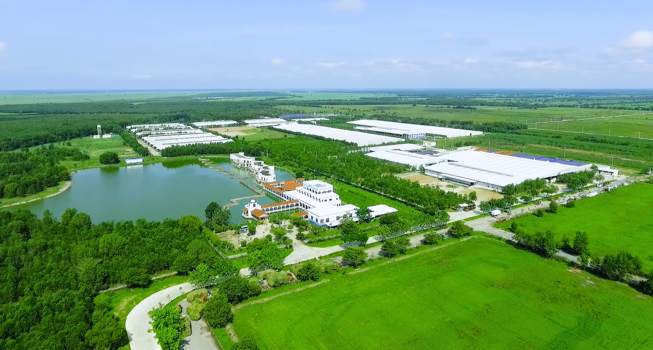 Vinamilk ghi tên “sữa Việt” trên các bảng xếp hạng toàn cầu về giá trị và sức mạnh thương hiệu