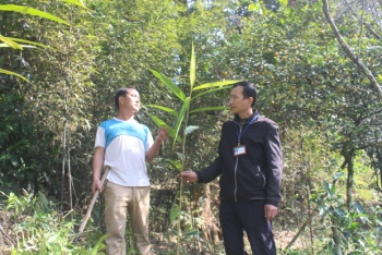 Nơi vùng biên Lao Chải