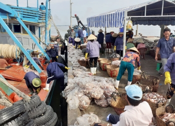 Làng biển Bình Thắng tràn đầy sắc Xuân