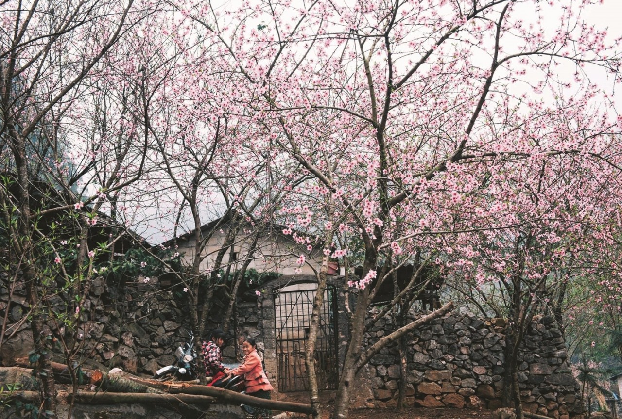 Xuân về trên vùng biên giới Bát Đại Sơn
