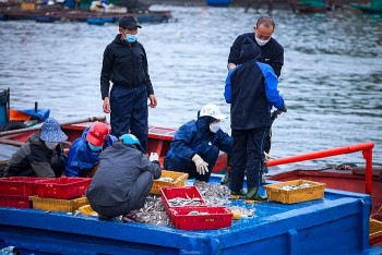 ngu dan ha tinh trung dam mua sua nhu nhap 6 7 trieu dongngay