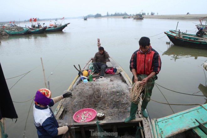 Vào mùa nghêu, cá đục, ngư dân thu tiền triệu mỗi ngày