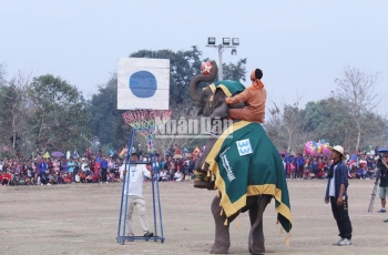 Lễ hội voi Lào năm 2023 thu hút hàng chục nghìn du khách