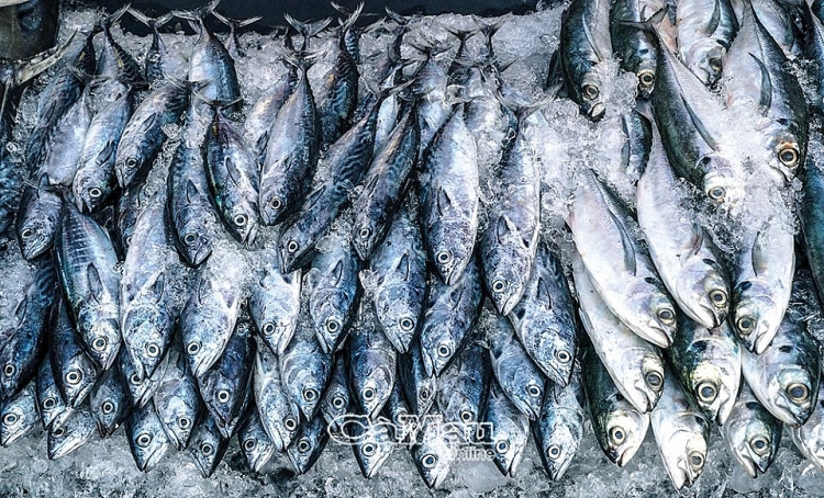 Chuyến biển đầu năm