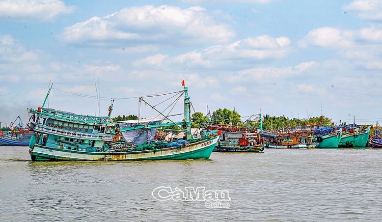 Chuyến biển đầu năm