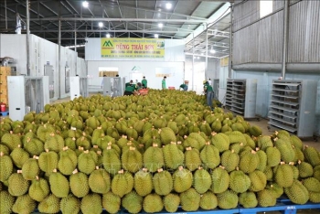 Xây dựng thương hiệu nông sản Việt tại Trung Quốc