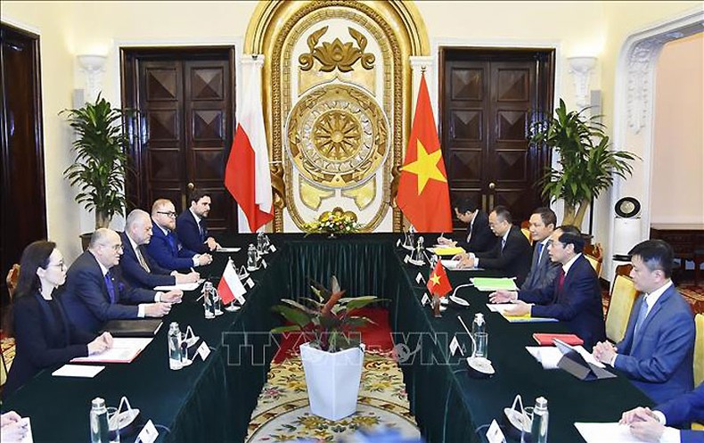 Việt Nam luôn coi trọng và mong muốn tăng cường quan hệ hợp tác nhiều mặt với Ba Lan ảnh 1