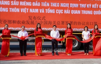 Cần Thơ: Xuất khẩu chính ngạch hơn 18 tấn sầu riêng Ri6 đầu tiên sang Trung Quốc
