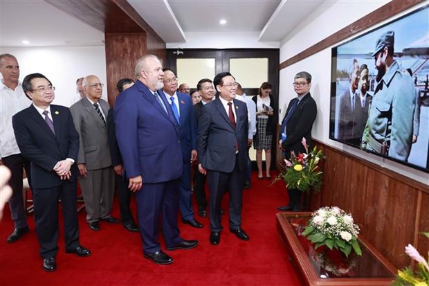 Viet Nam-Cuba thuc day hop tac kinh te tuong xung quan he ngoai giao hinh anh 2