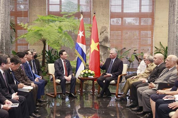 Viet Nam-Cuba thuc day hop tac kinh te tuong xung quan he ngoai giao hinh anh 1