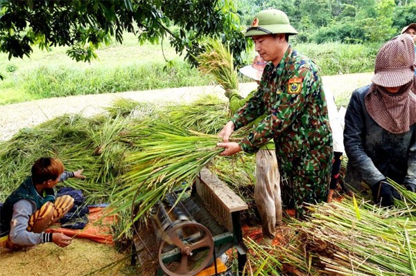 Chiến sĩ biên phòng đội nắng, lội bùn giúp nhân dân biên giới thu hoạch mùa