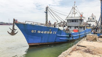 ngu dan kien cuong bam bien doan ket vuon khoi