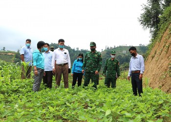 vung bien ban may lao chai khoi sac