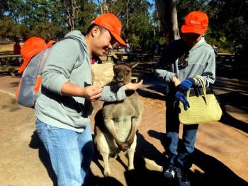 Giới thiệu nhạc cụ dân tộc, nón lá Việt Nam tại Australia