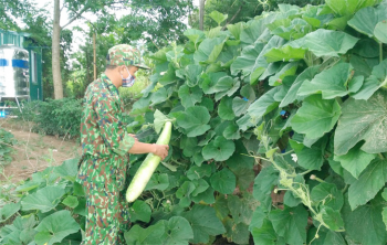Tuyến đầu chống dịch bên bờ sông biên giới Sê Pôn