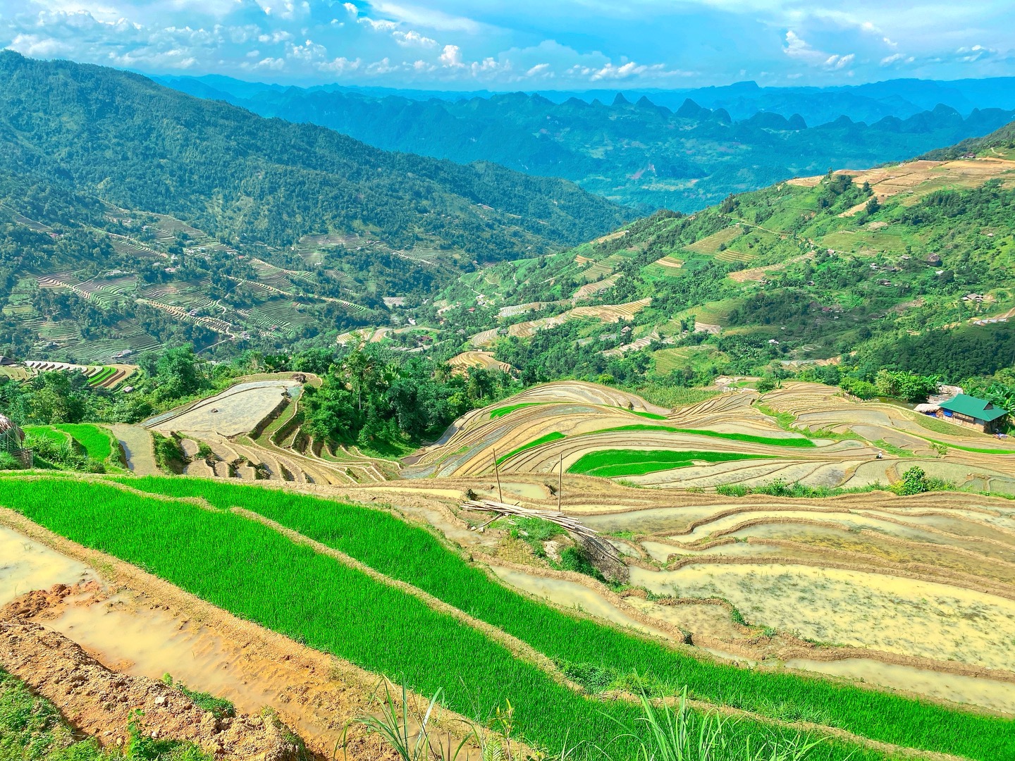 Mùa nước đổ tạo nên bức tranh hùng vĩ